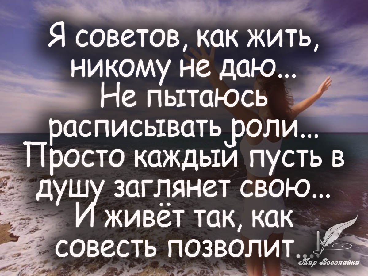 2512888085.jpg