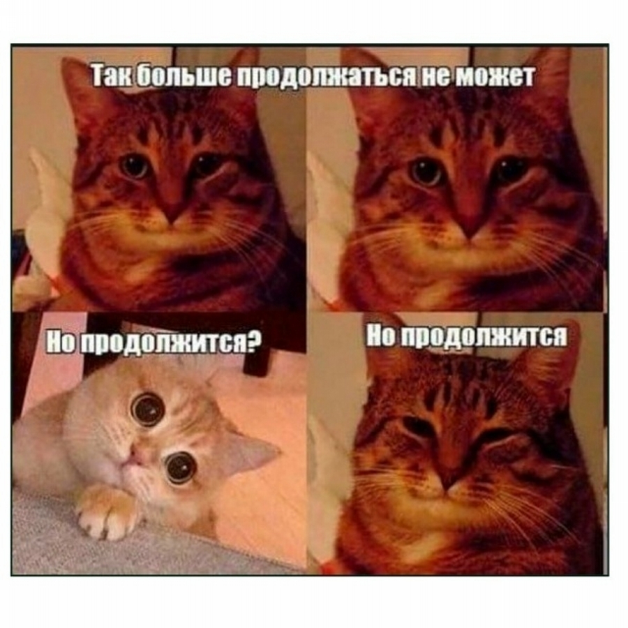 D8wIiWfG_Df7dzp_Bzp9Zvy29Afa28MGBE4sIwU1WRno4B0JCoe407NfXNP4w1aAuwQeolrJHY4rXJ_Fa1qybIhl.jpg