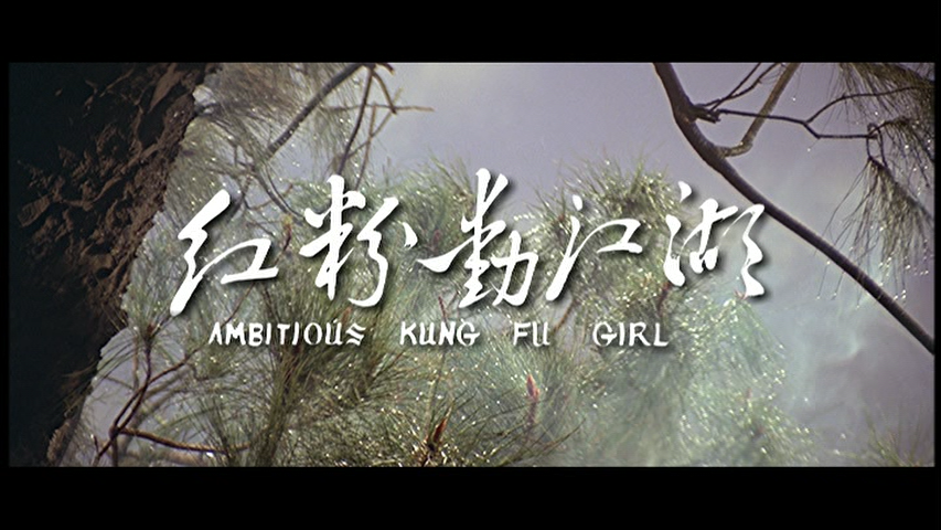 dvd_snapshot_00.00.16.900.png