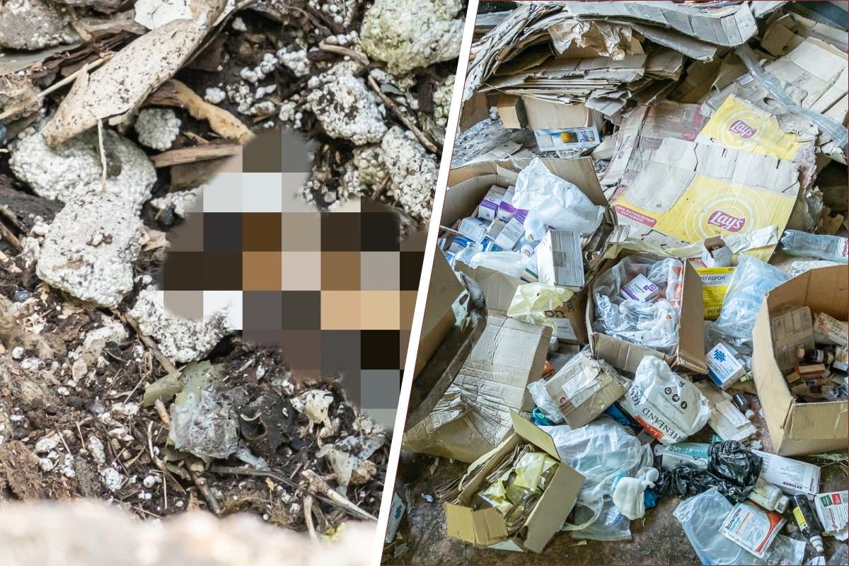 На станции скорой помощи животным в Перми обнаружены могильники собак