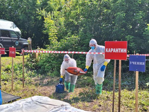 В Нытве прошли учения по ликвидации очагов сапа лошадей