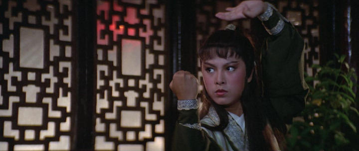 Ambitious Kung Fu Girl - Hong fen dong jiang hu (1981)_BDRip_.avi_snapshot_00.30.15.982.png