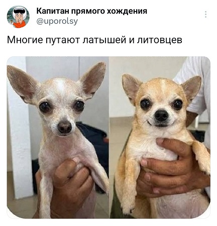 https://i5.imageban.ru/out/2026/07/09/dae45d77323f4b6687329dfcf7cc3a90.jpg