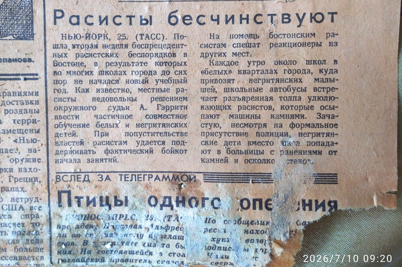 https://i5.imageban.ru/out/2026/07/10/3a9ec91174842239ede5245d055fc610.jpg