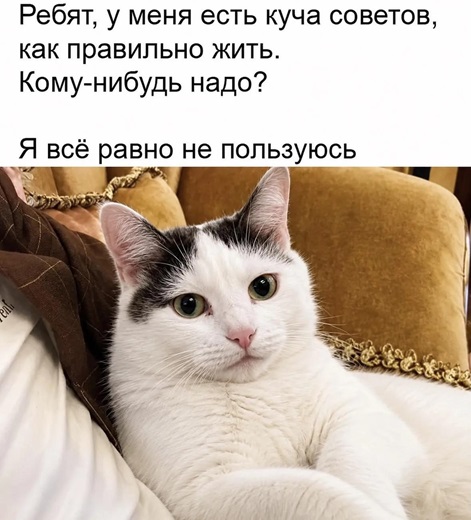 https://i5.imageban.ru/out/2026/07/12/7713fe79196755f70fc64430bfe904af.jpg