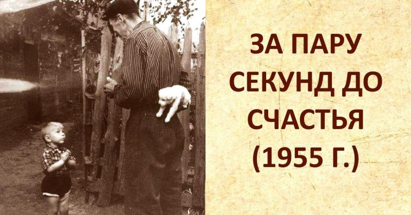 5dd3e5486b485.jpg
