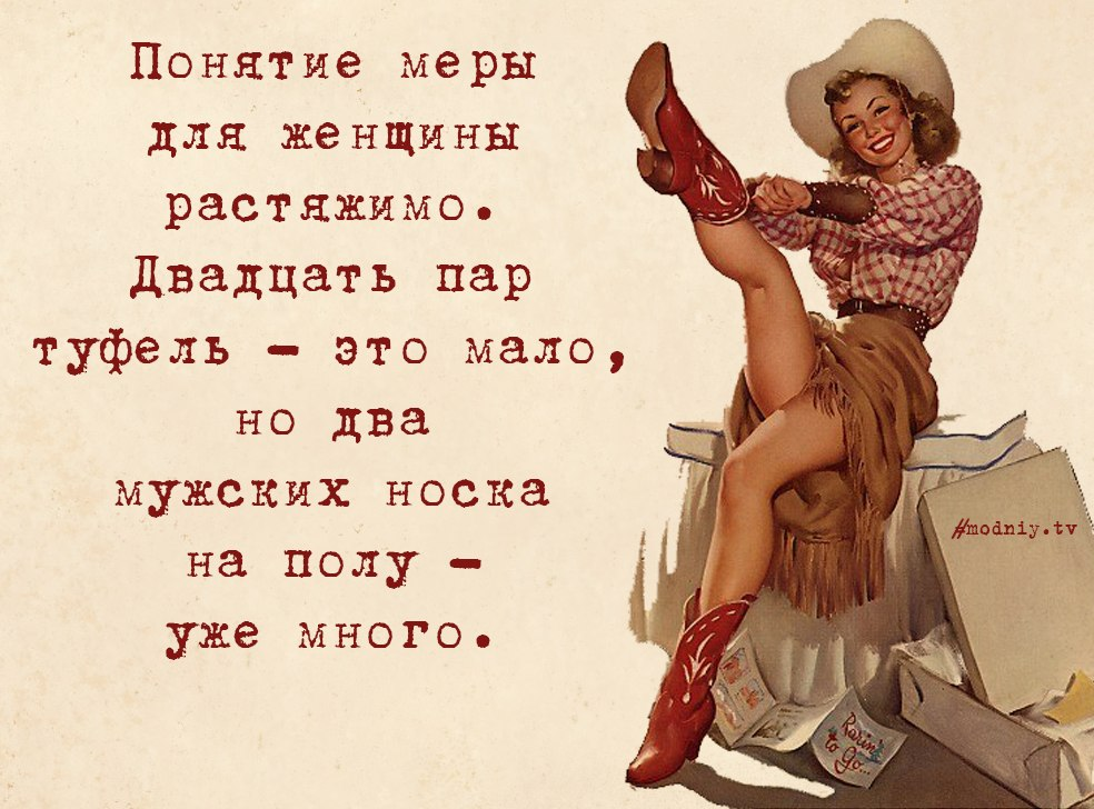 306019_original.png