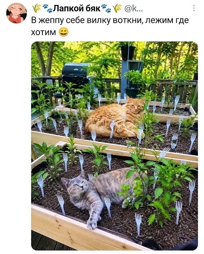 https://i5.imageban.ru/out/2026/07/22/5762671b596415a8839460a0c0cc84d1.jpg