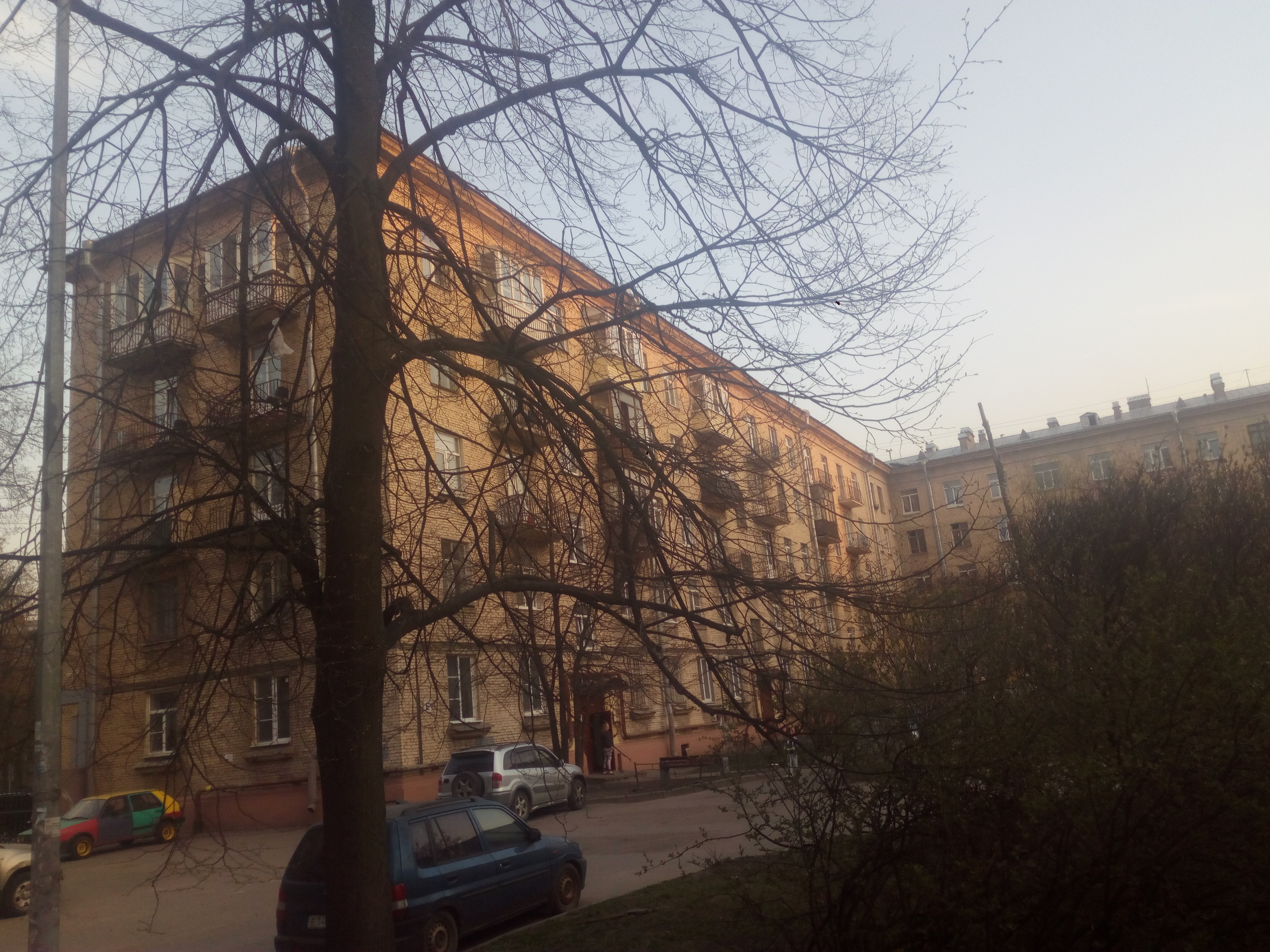 Васи Алексеева 20;24_5.jpg