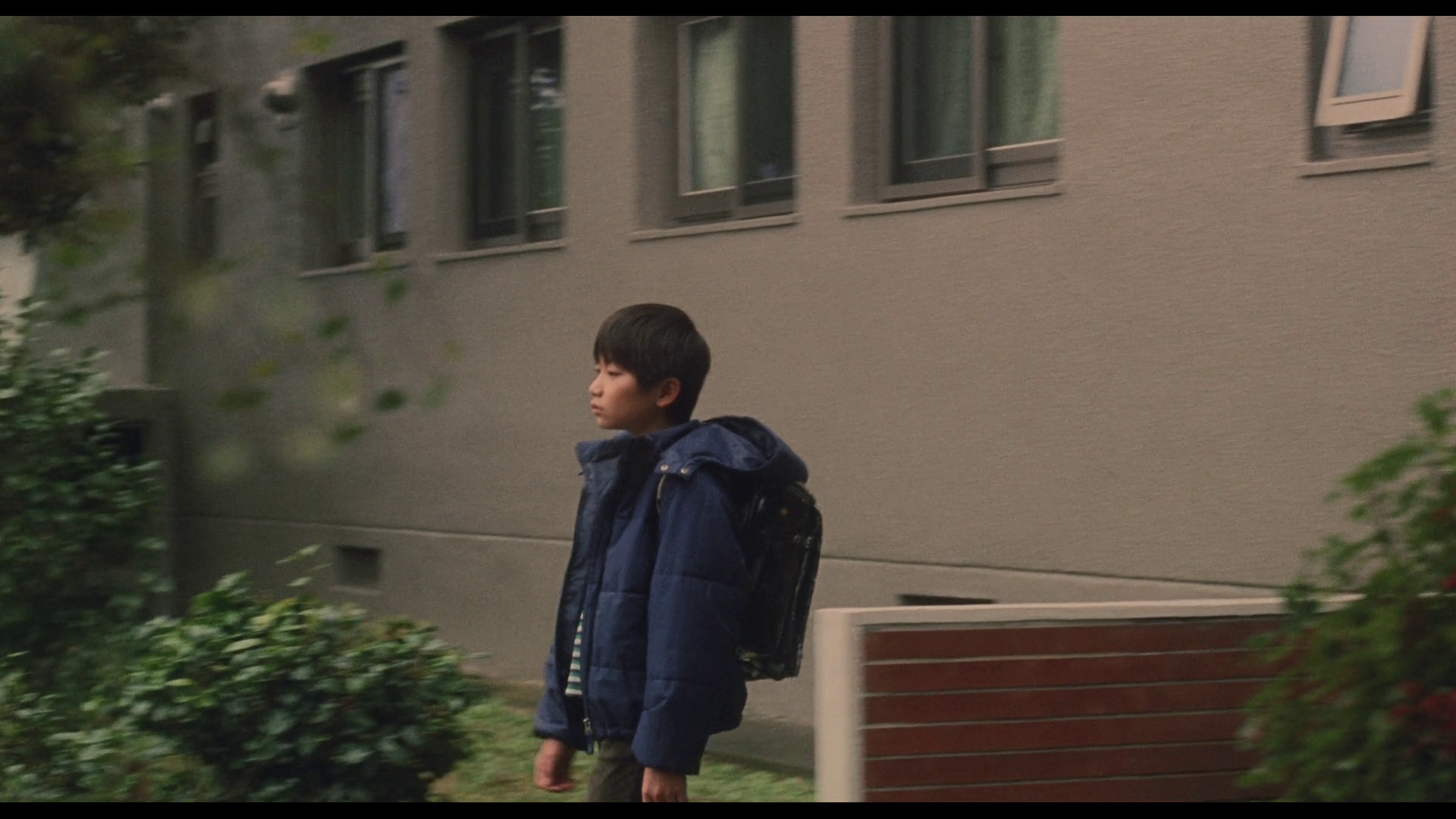vlcsnap-2026-07-29-11h51m09s772.png