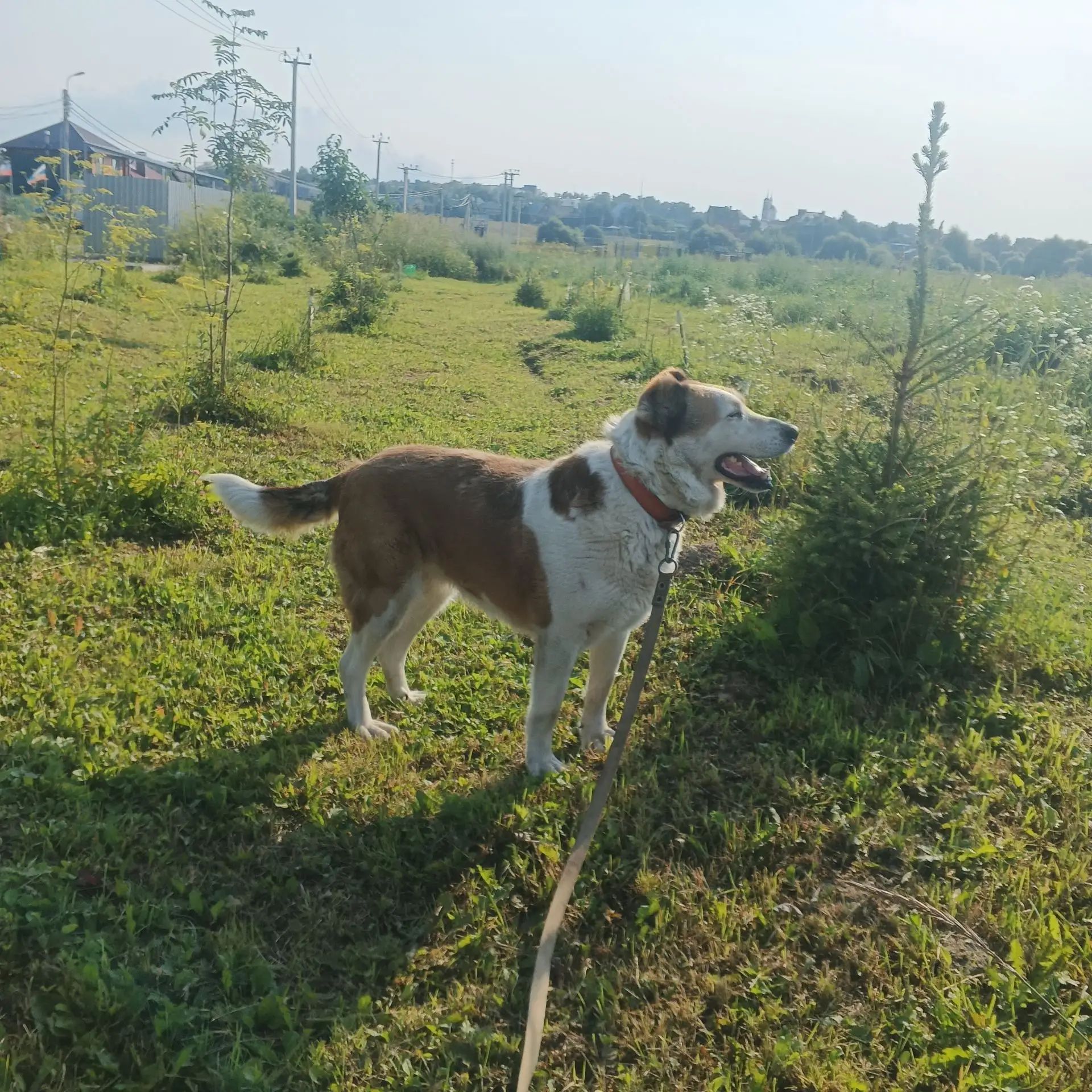 https://i5.imageban.ru/out/2026/07/29/c3e2b329b786b35ffbca0fbedeae248a.jpg