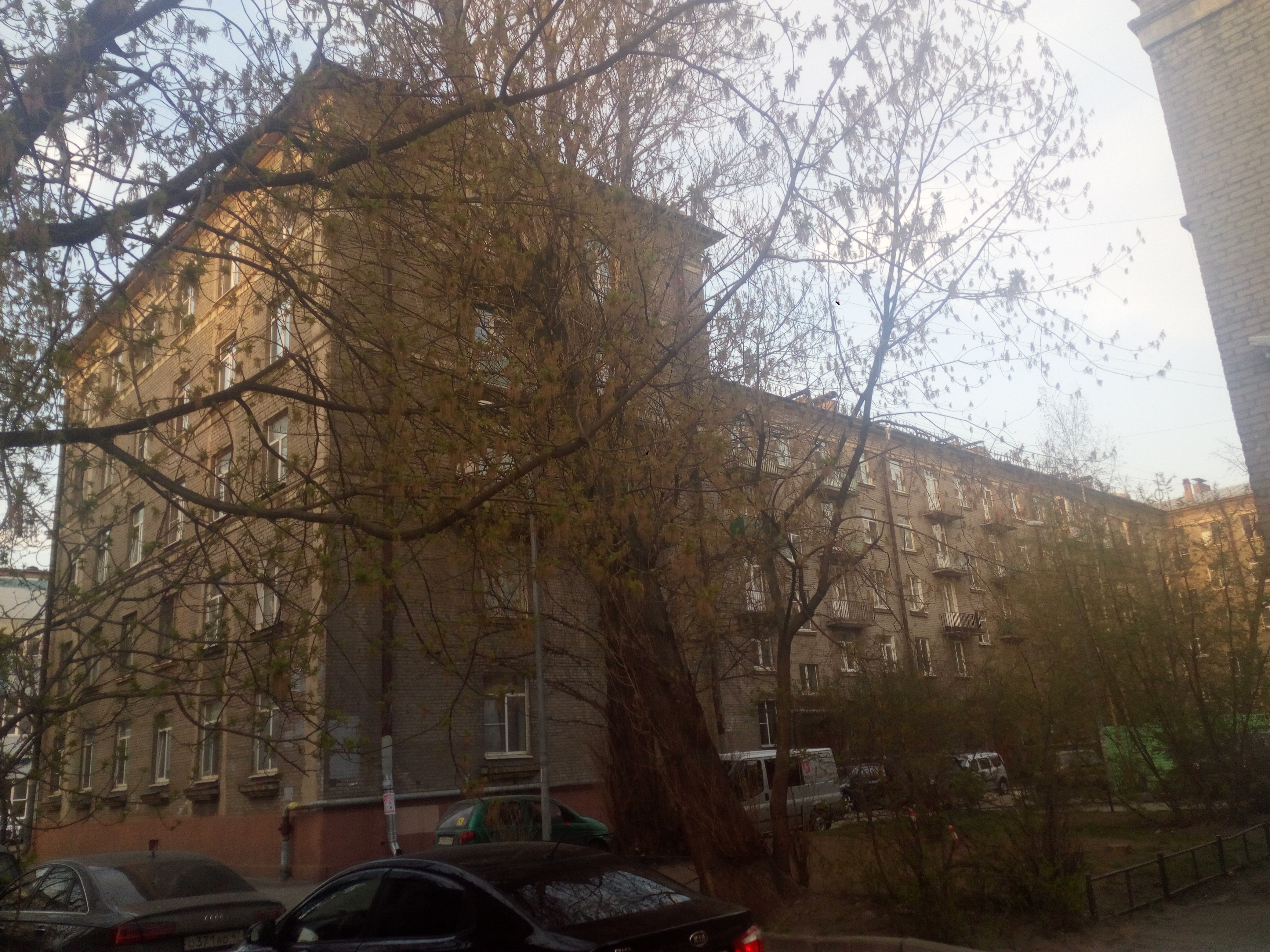 Возрождения 19;38_4.jpg