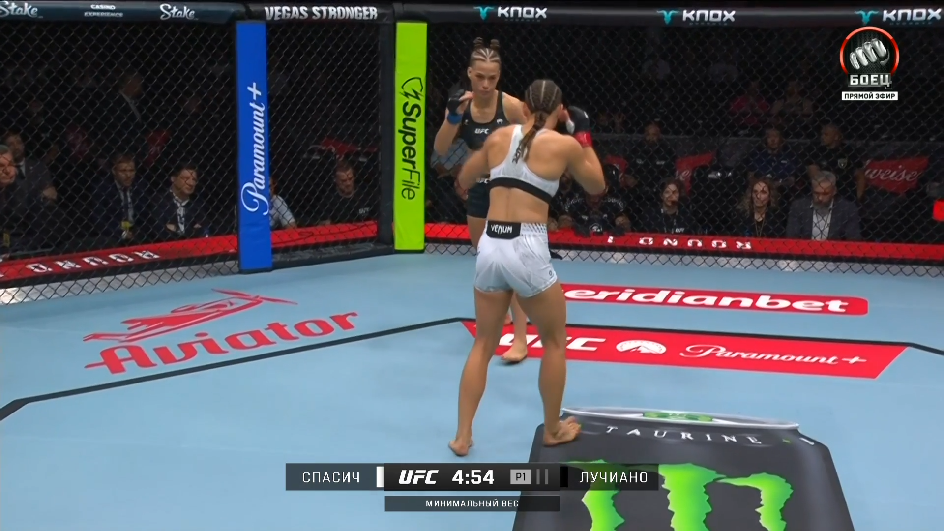 UFC Fight Night 283 Medic vs Rodriguez - Боец (50 FPS) [Prelims].mkv_snapshot_00.07.22.859.png