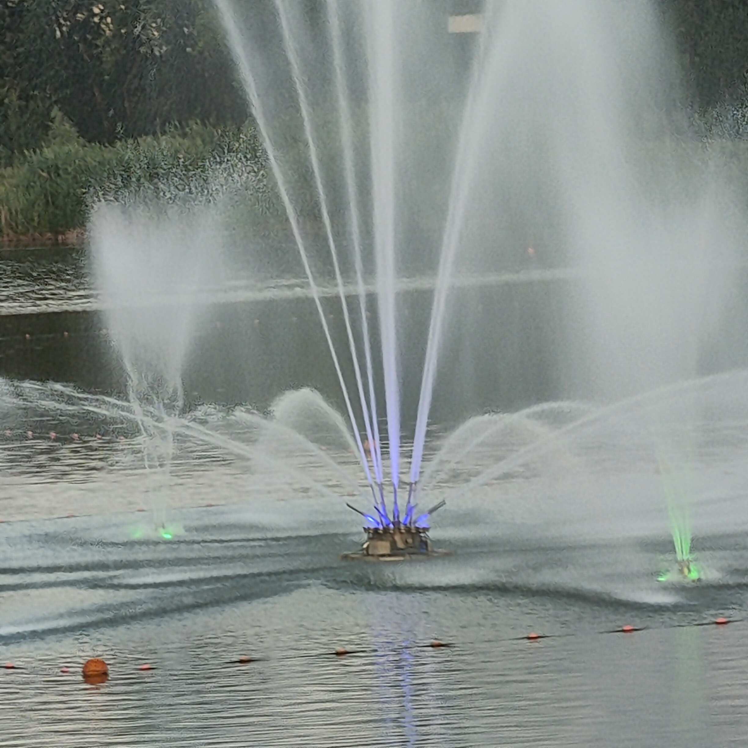 IMG20260803193133.jpg