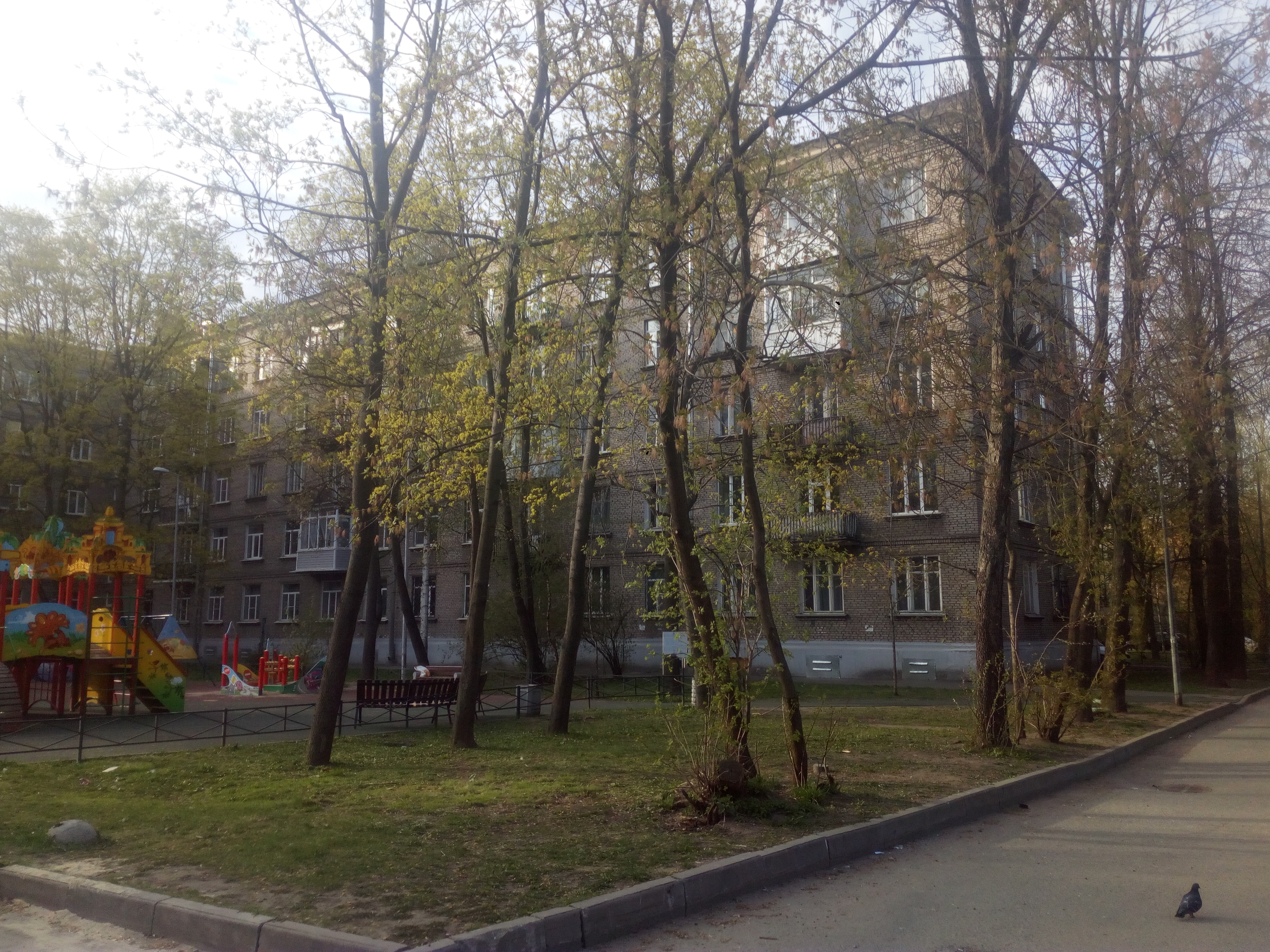 Зайцева 37_4.jpg