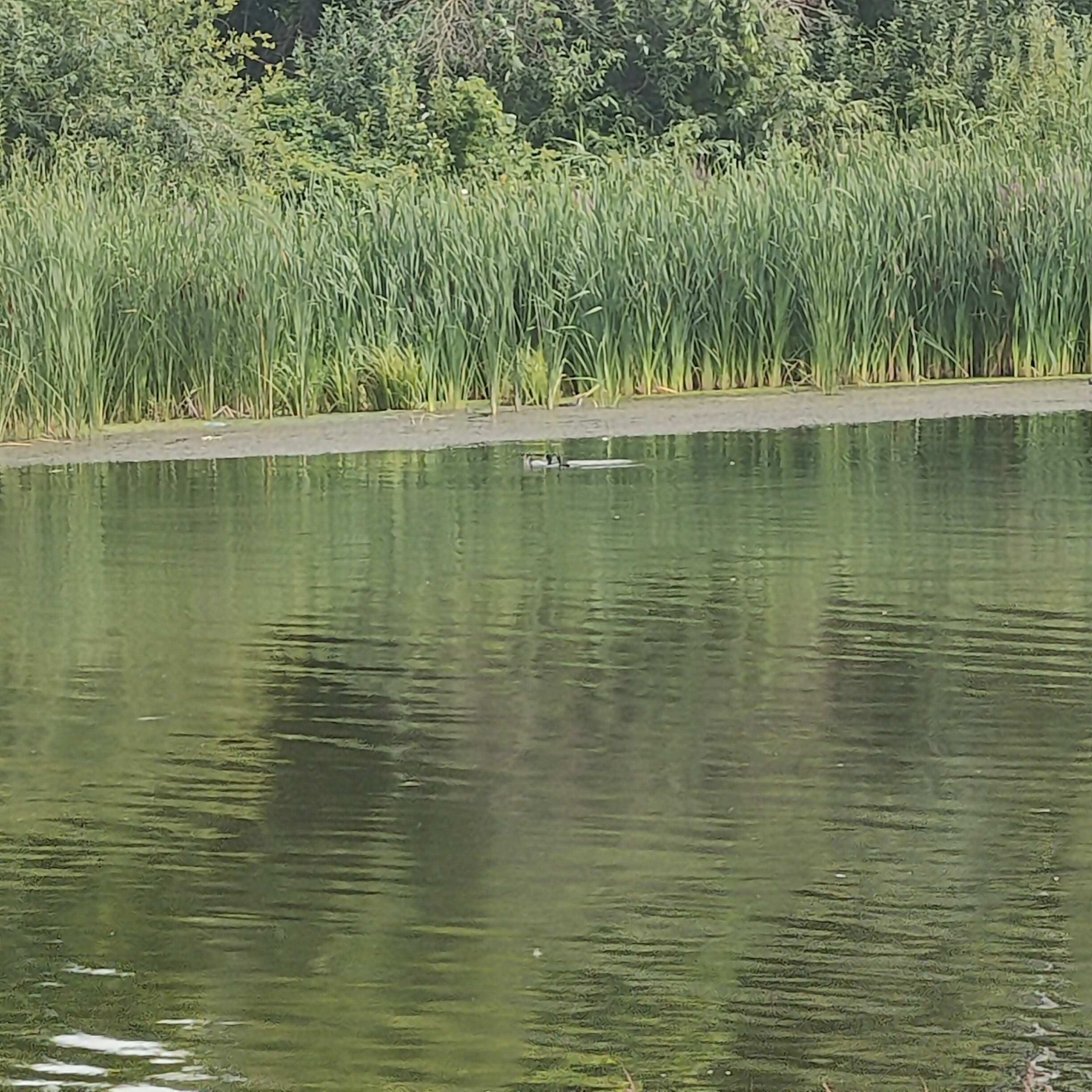 IMG20260805160410.jpg