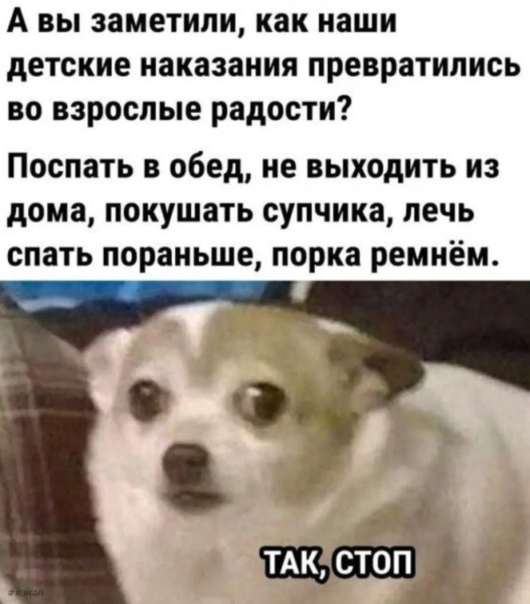 f5109cbfddca7b93e3de7d46115602c9.jpeg