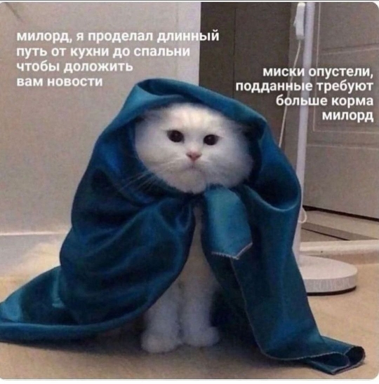 37.jpg