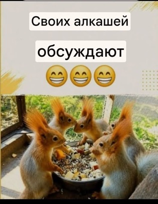 https://i5.imageban.ru/out/2026/08/08/282c9311d6c1050521483883c848bb6c.jpg