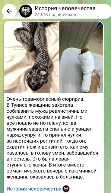 https://i5.imageban.ru/out/2026/08/10/77bdbd2b26455dec49addcae9a5054d1.jpg