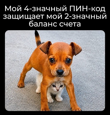 https://i5.imageban.ru/out/2026/08/12/182fa757ec9168d7df1b5c662890deca.jpg