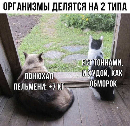 Fhytjd8id54pZC5xwk24H-bqev38LRzcOQXbPQNySwW930zBqL-V0CDmqQtID0kElH1GzyIgbm-6efWVzPrO1G9O.jpg