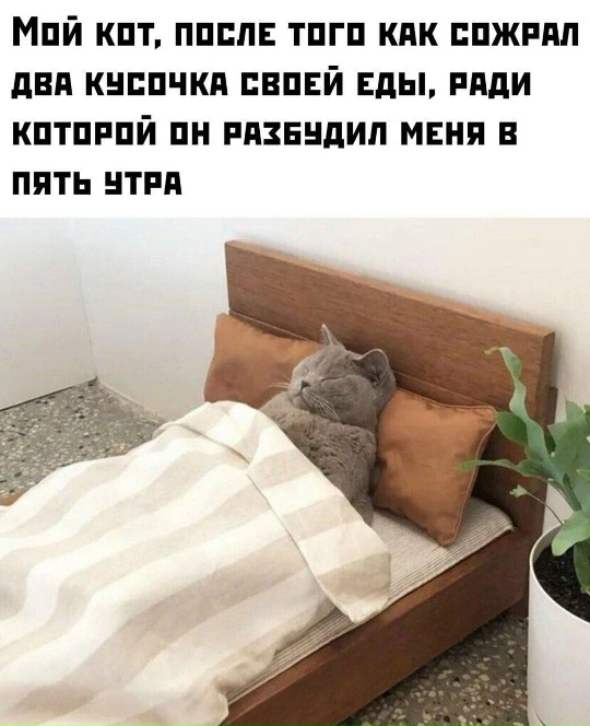 5bjuuobGke4Ds3_9Ks7ZjJsKJkU44bLL_PIUhU1SSRkU0Ubq4KQi16ytmj659Ha1vZrRGSW6Zm3X3TH3j0lIl7.jpg