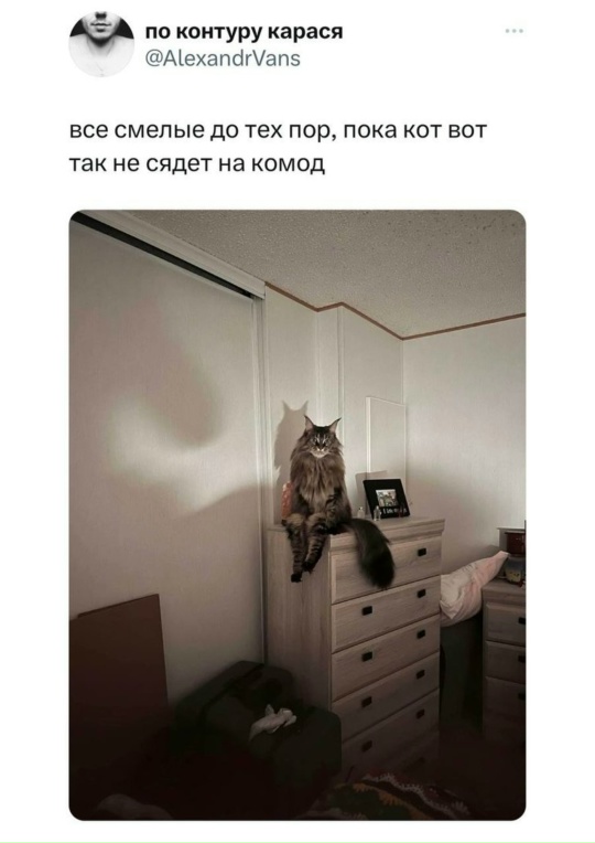 6oi4Uh8jzg44EEZ96RYSR6jFlTjhff-DD9eZmrbqtU9wp0JaqatVLjeRZITxzzGF0OB_58hAcotpN5LBjiEpcqH9.jpg