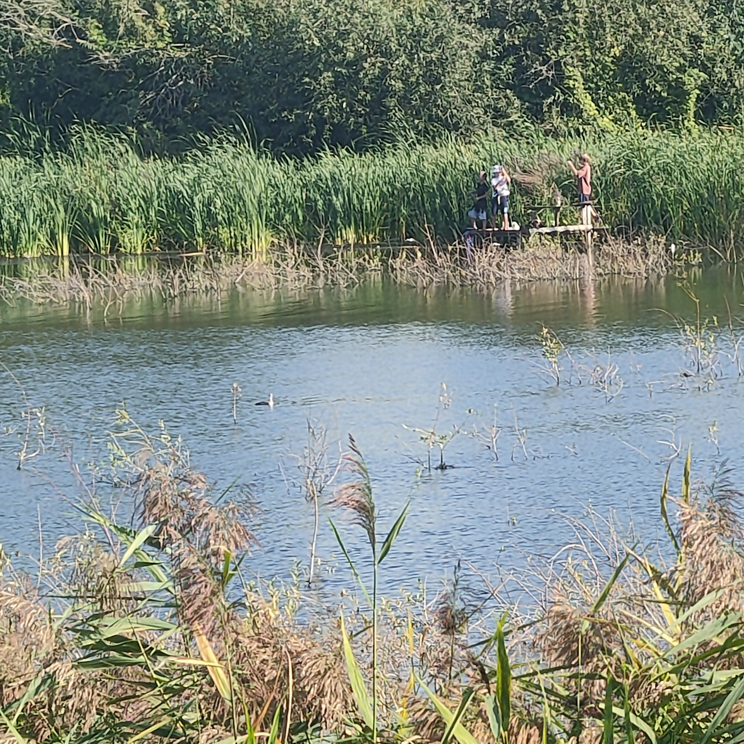 IMG20260823154959.jpg