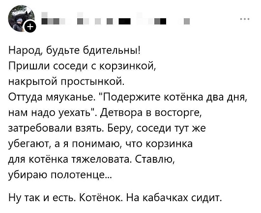 https://i5.imageban.ru/out/2026/08/27/0658f1d2a1752c06a2750140297bcab6.jpg