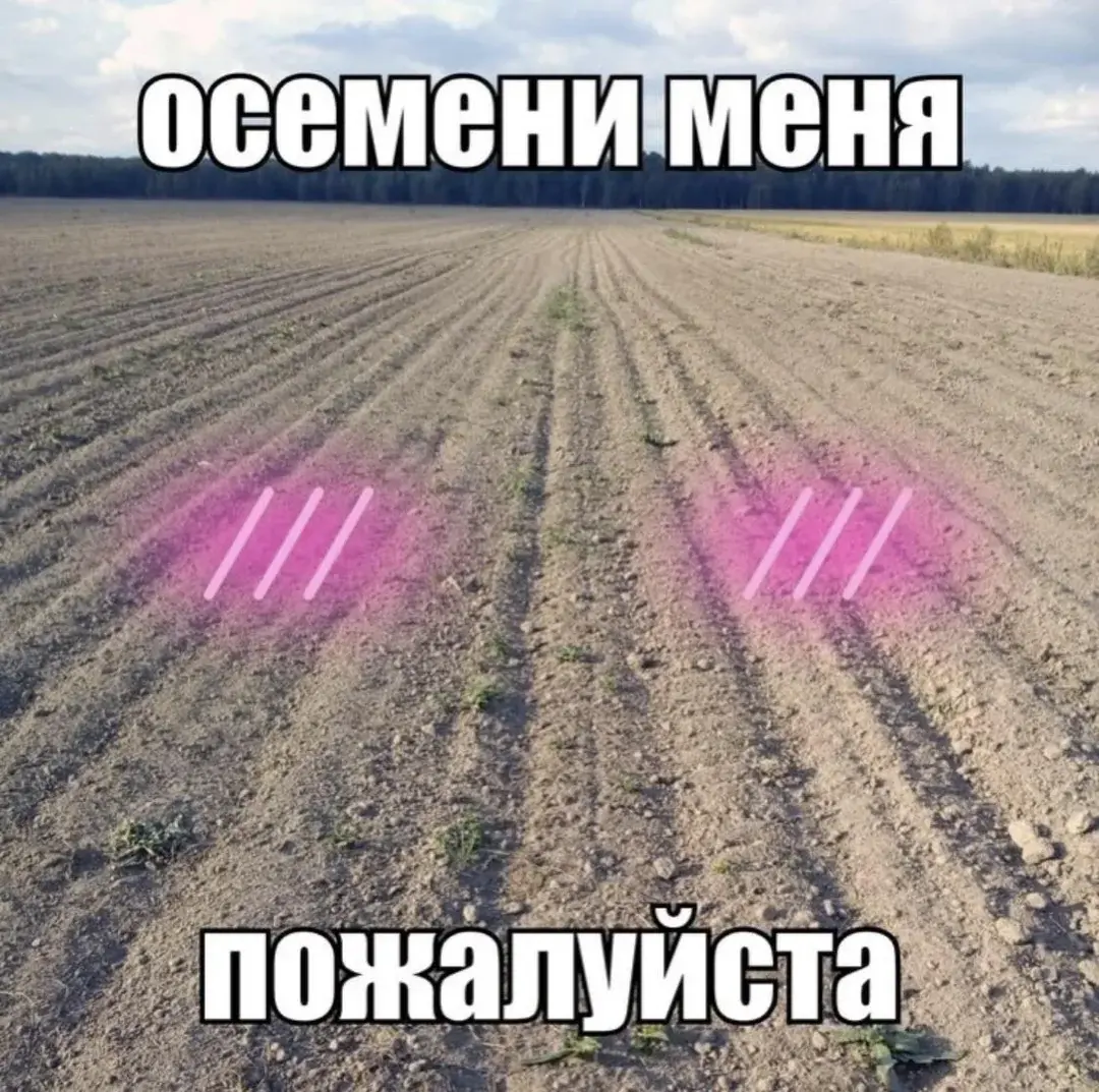 0e350dcd1c3da709ad5777ef86acb97d.webp