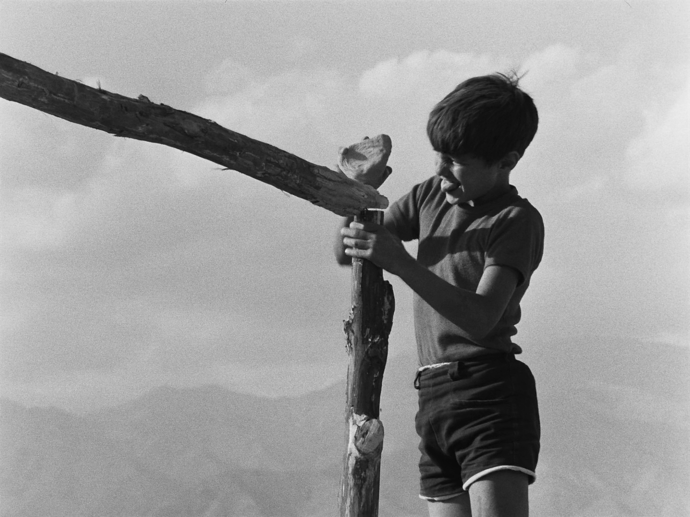 vlcsnap-2026-08-29-12h36m40s277.png