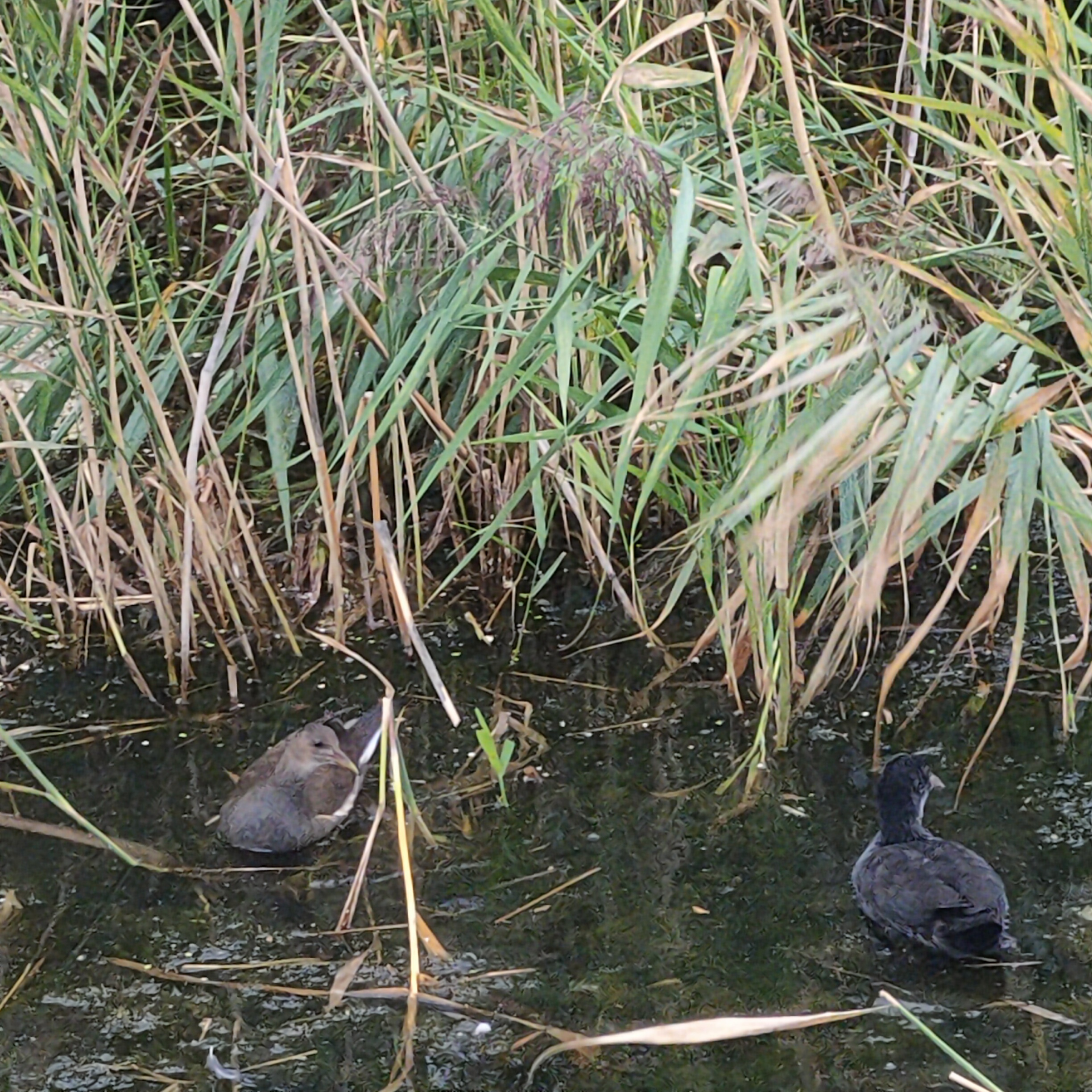 IMG20260905151933.jpg