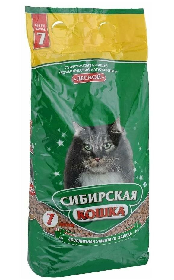 orig.jpg