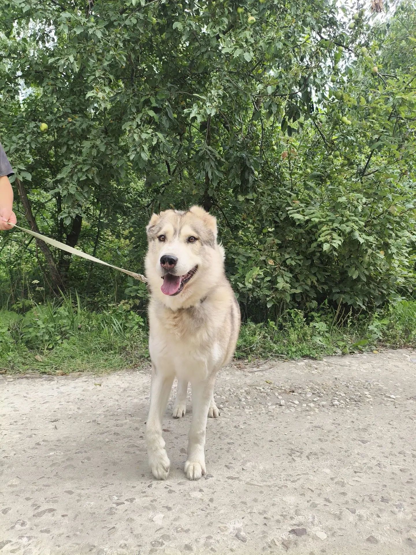 https://i5.imageban.ru/out/2026/09/09/e58b99550fcc7df331cd8d9061434f0b.jpg