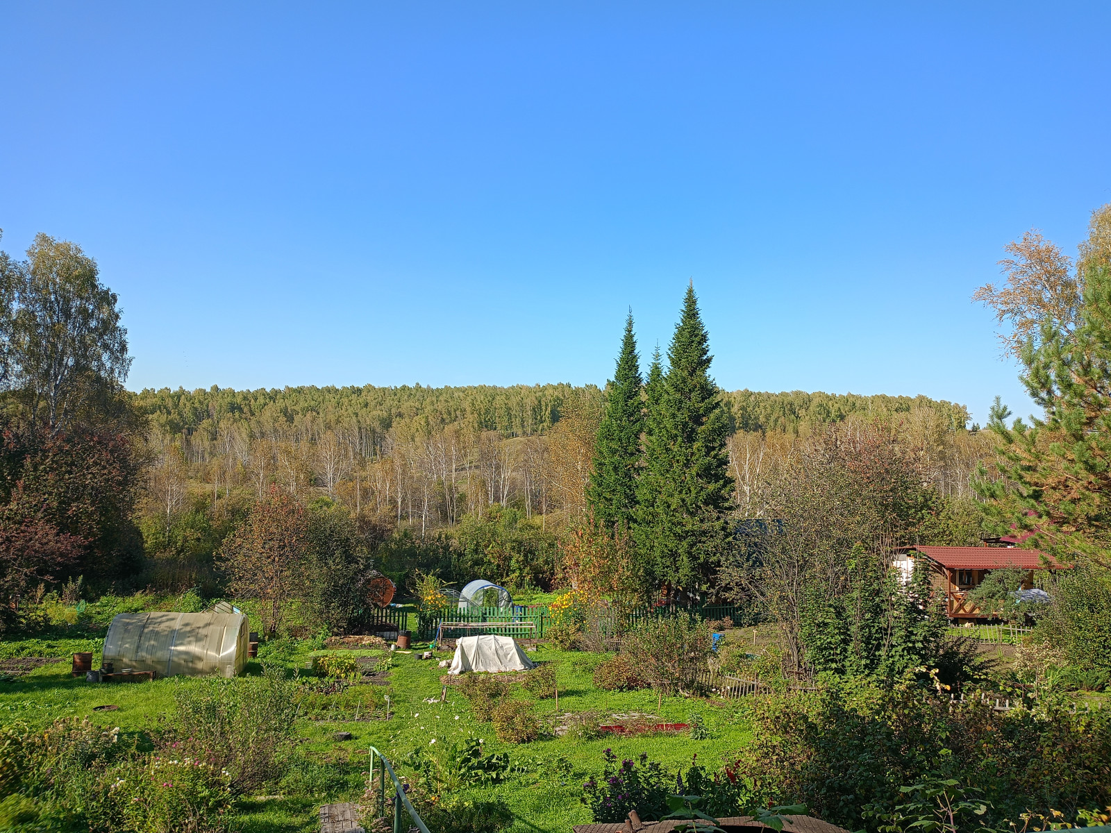 IMG20260908160517.jpg