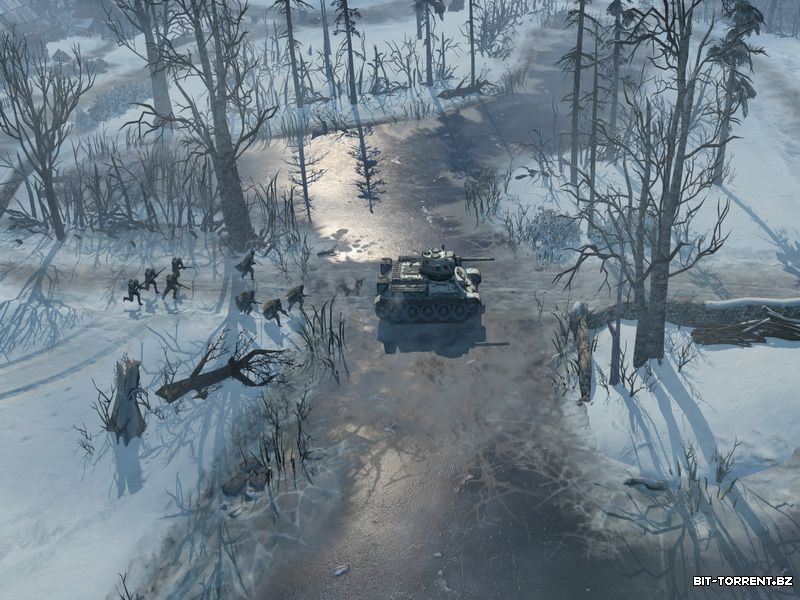 Company of Heroes 2 Digital Collector's Edition (2013) Rus