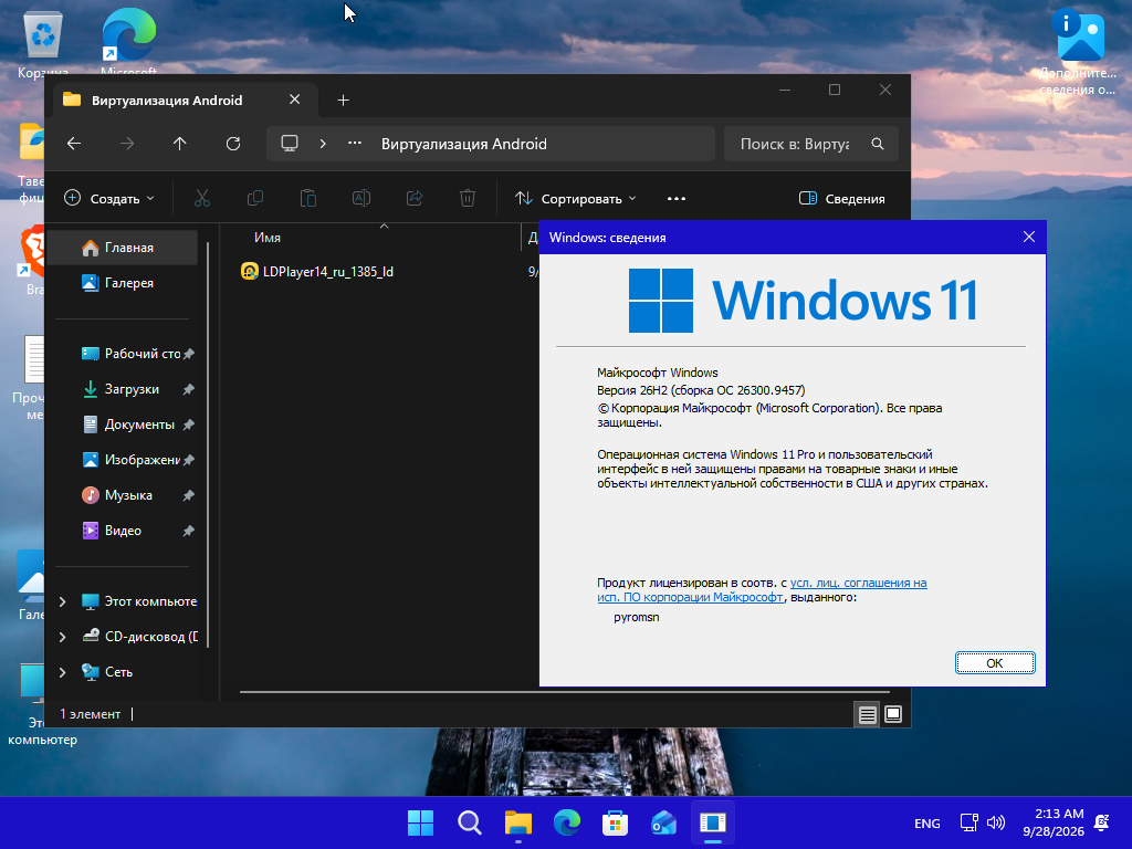 VirtualBox_2343423423_28_09_2026_12_13_32.png