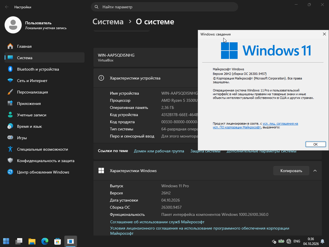 VirtualBox_Windows 10_04_10_2026_00_36_03.png