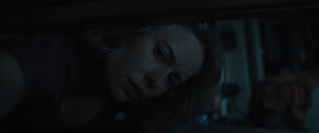 Insidious_Out_of_the_Further.2026.D.P.WEB-DLRip-AVC.mkv_snapshot_00.15.10.118.jpg