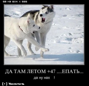 http://i5.imageban.ru/thumbs/2012.12.10/2645447574dde5e0465ffed1653f20e5.jpg