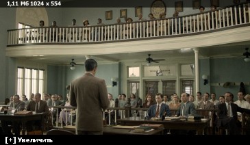 ��������� ���� ������ / Free State of Jones (2016) BDRip-AVC | iTunes | 2.14 GB