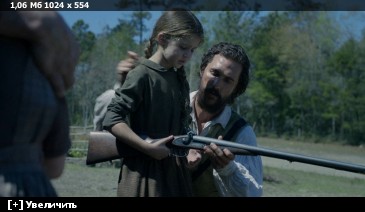 ��������� ���� ������ / Free State of Jones (2016) BDRip-AVC | iTunes | 2.14 GB