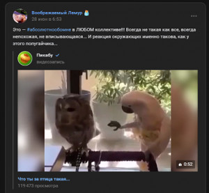 27c049f3884970d5e8247c6d80265af7.png