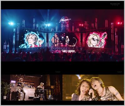 ⭐︎じゅんじゅん⭐︎B'z LIVE-GYM Pleasure 2023 B'z ライブ DVD＆ブルーレイ『B'z LIVE-GYM Pleasure 2023 -STARS