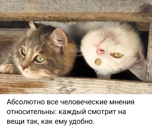 84f4f828ca6d2a67c57e9df6c2f76de1.jpg
