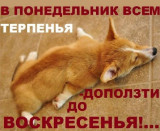 https://i5.imageban.ru/thumbs/2026.04.27/3105163e4c2e86091bd906ddae410515.jpeg