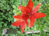 https://i5.imageban.ru/thumbs/2026.07.14/7b248efbf74d3e314e27272253ec8b66.jpg