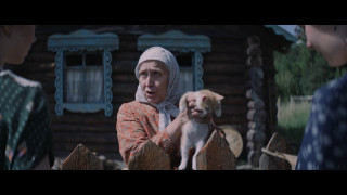 ���������� (2026/WEB-DL)